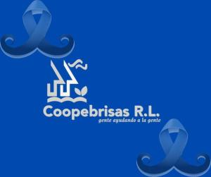 COOPERATIVA DE SERVICIOS MÚLTIPLES DE SANTA ROSA DE ZARCERO, COOPEBRISAS, R.L.