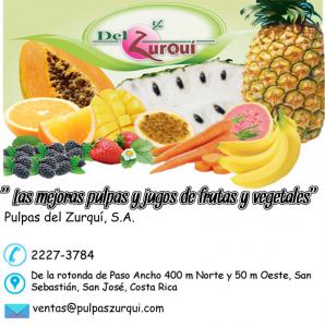 PULPAS DEL ZURQUÍ S.A.